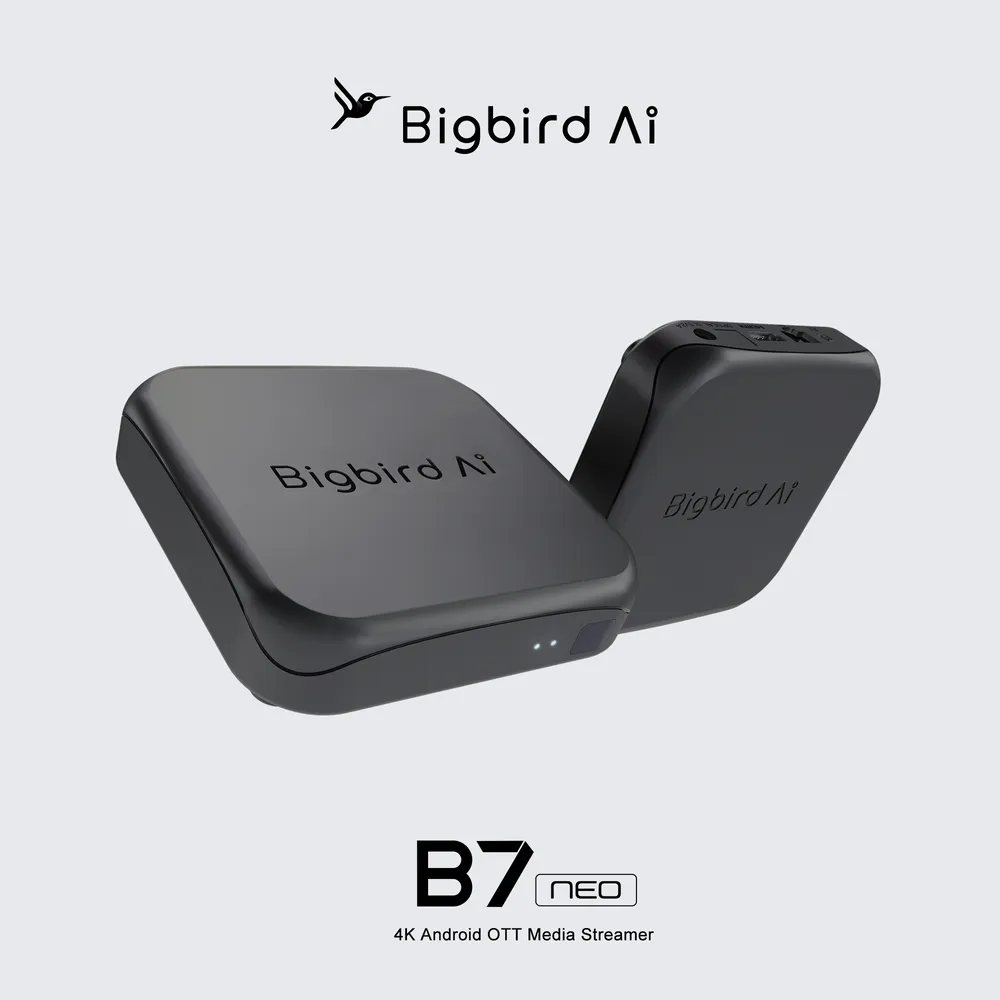 BigBird AI B7NEO vista perspectiva